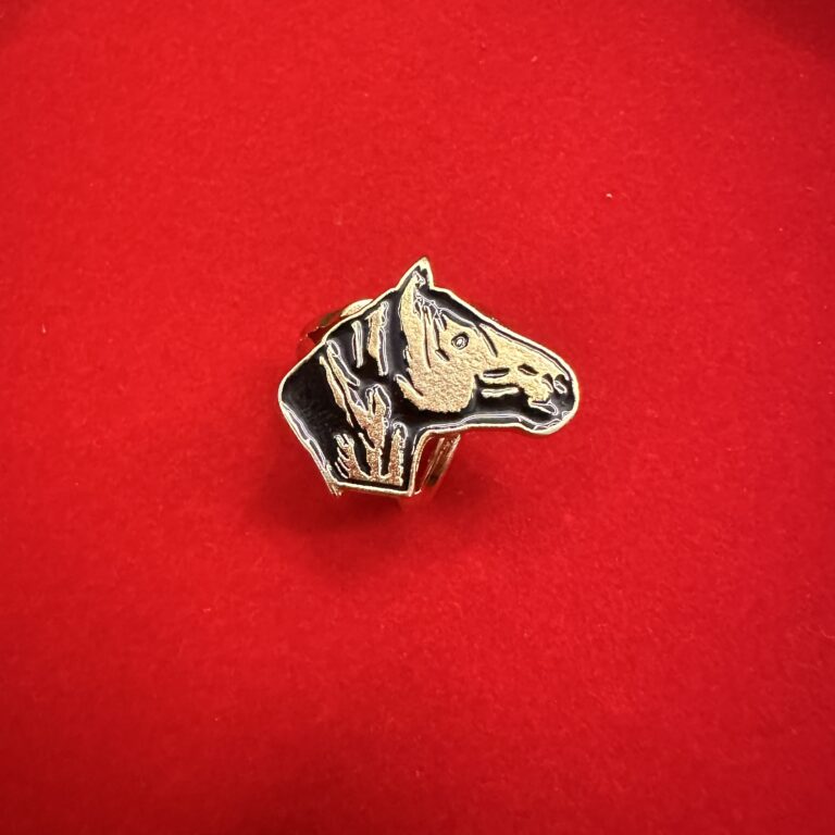 passador de lenço ( cavalo crioulo )