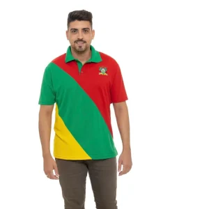 camiseta polo masc. onda oca bandeira rs. tam g2
